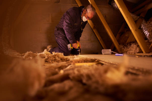 Best Spray Foam Insulation  in USA